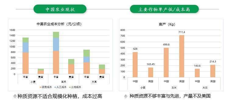 2024新澳门正版免费资木车,数据分析驱动决策_顶级款85.363